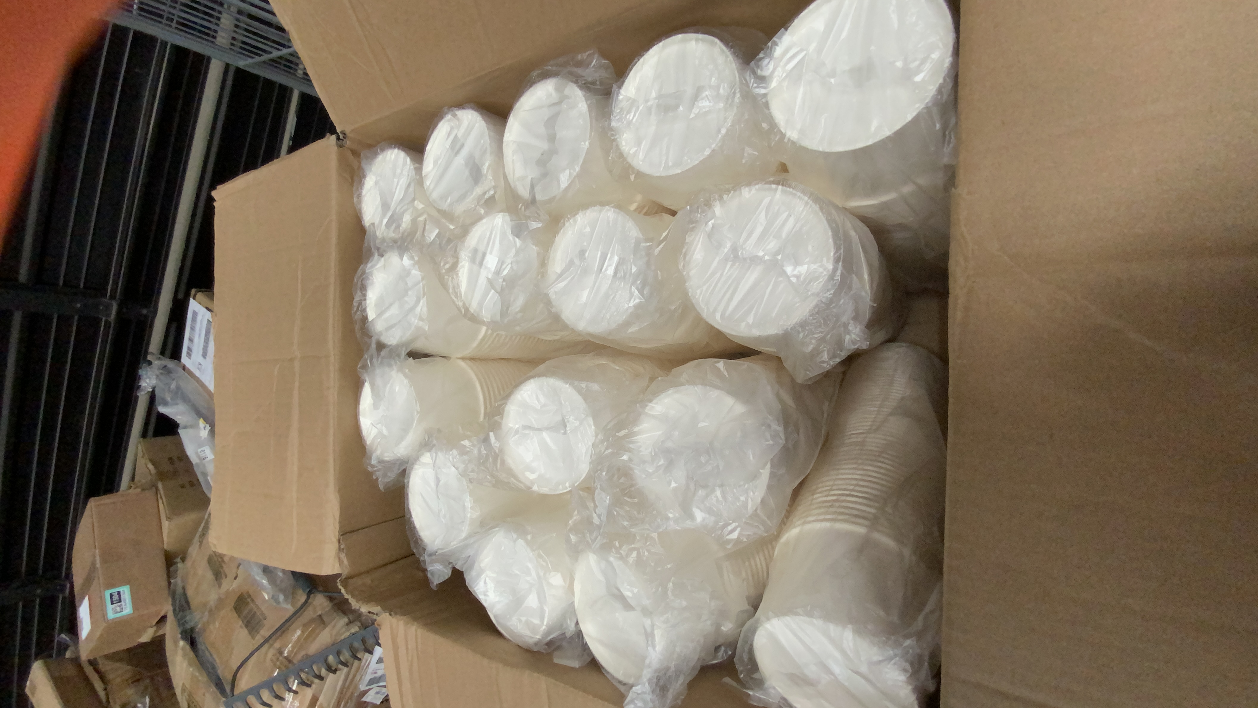 Generic Unbranded Paper Drink Cups
