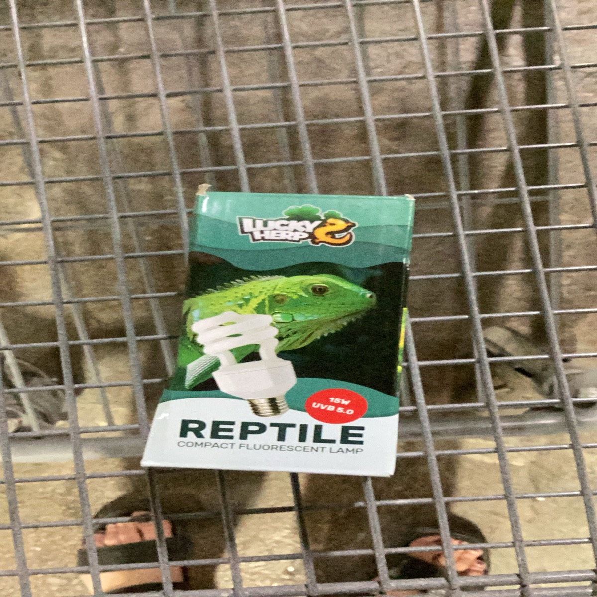 LUCKY HERP Reptile Compact Fluorescent Lamp 15W UVB 5.0