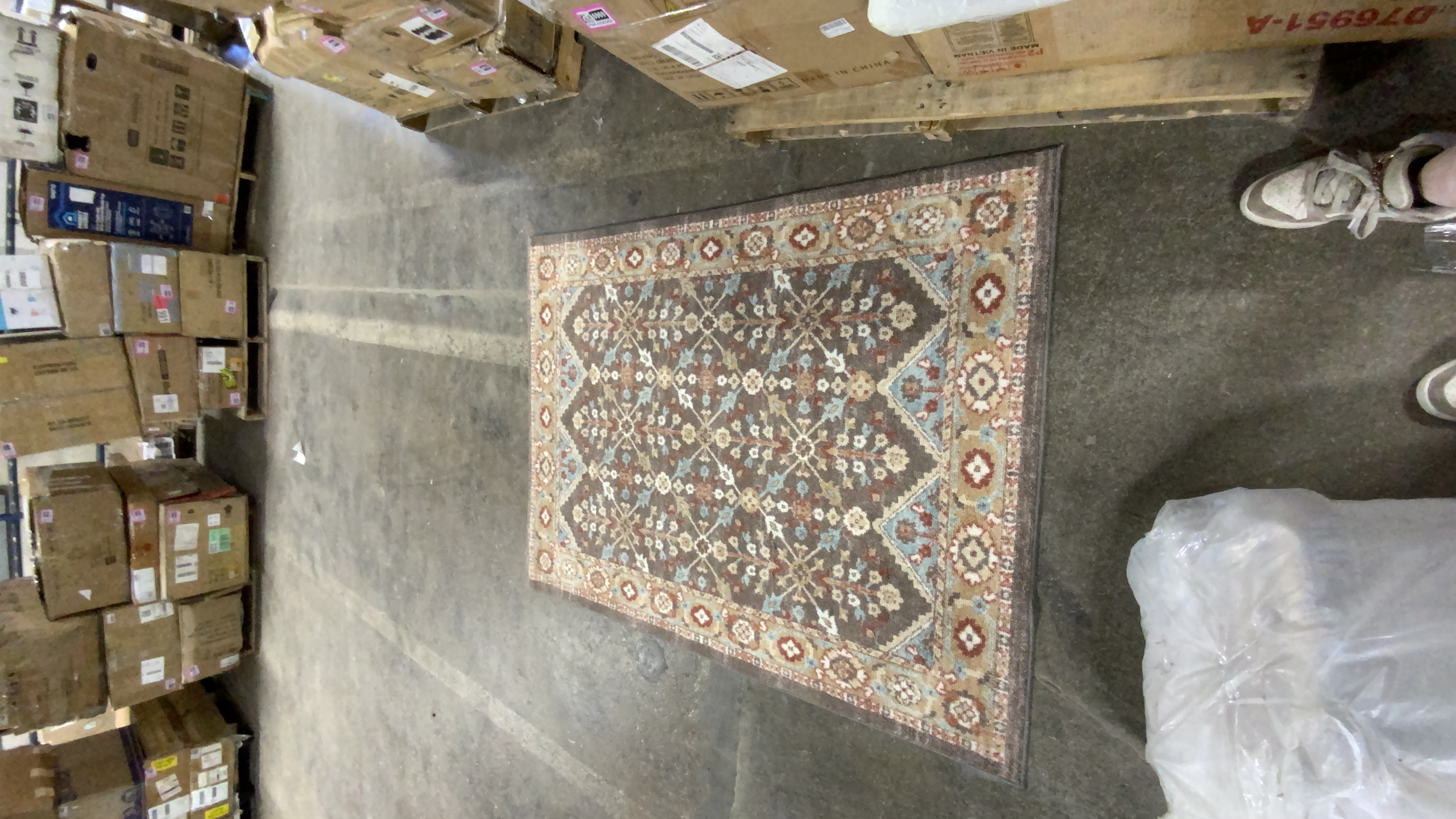 Safavieh Area Rug, Oriental/Traditional Pattern 4F*5F