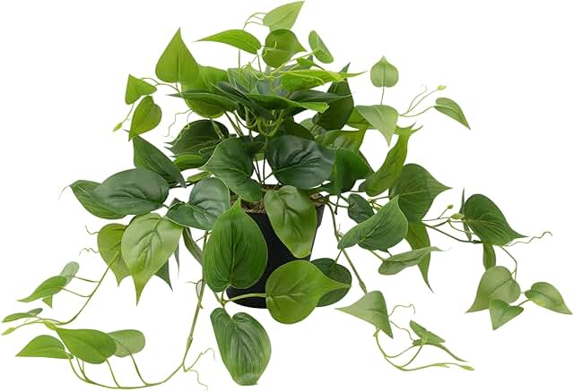 LOWREE Artificial Plants in Black Pot