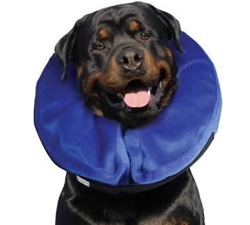 Super Inflatable Dog Cone Recovery Collar - Size XL