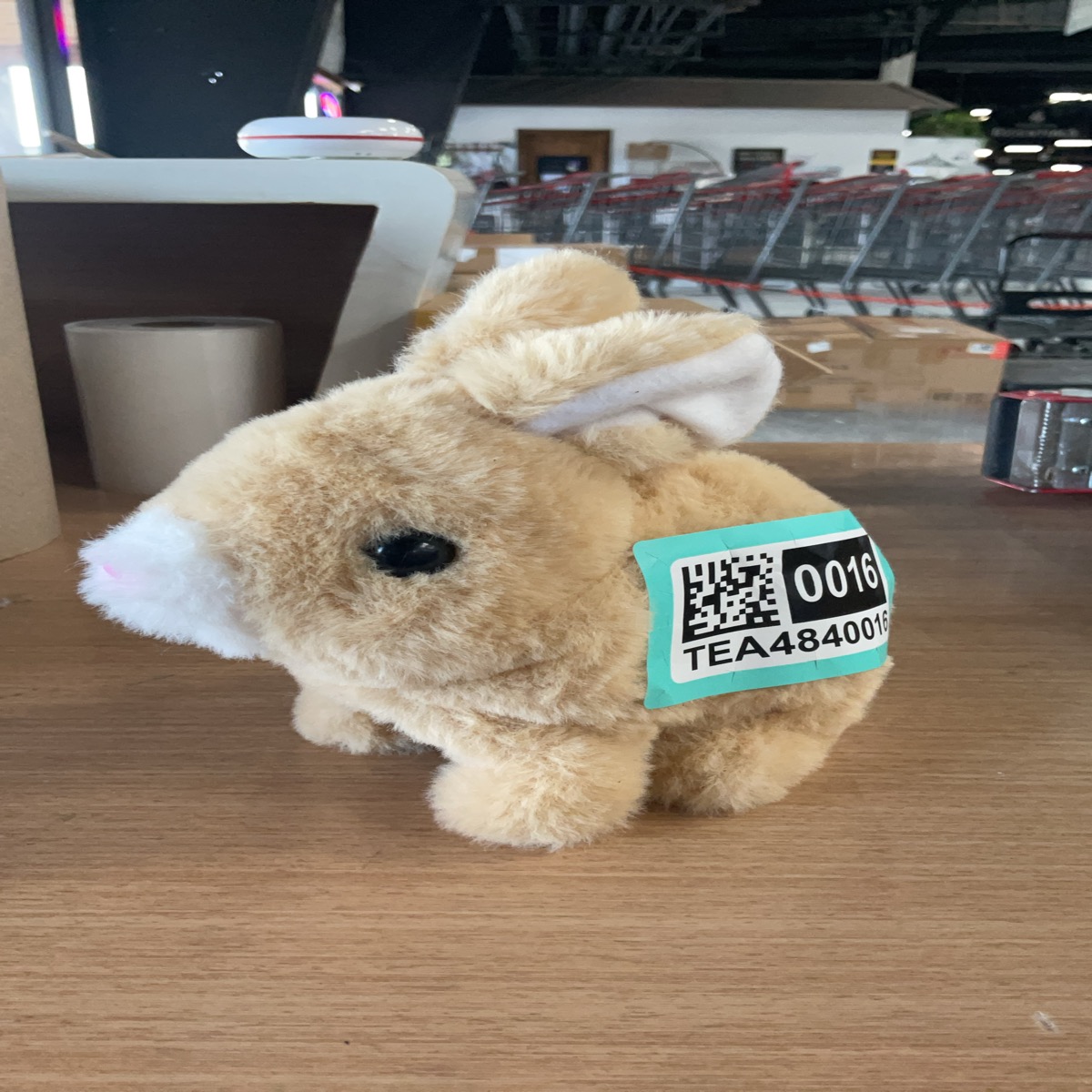 Battery Operated Bunny Toy