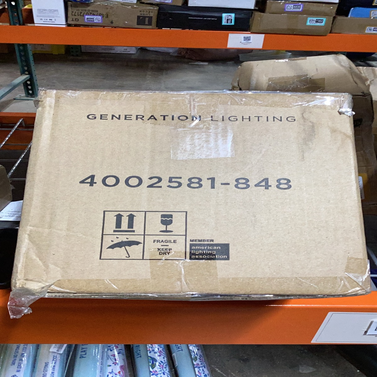 Generation Lighting 4002581-848 Light Fixture