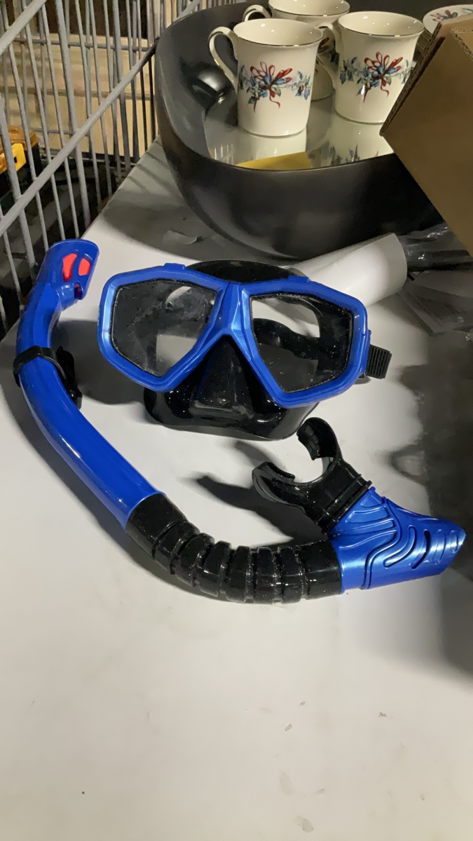 (Used)Adult Nearsighted Professional Snorkeling Gear Set - Full Dry Top