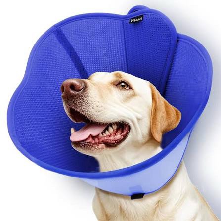 Vithael Soft Dog Cone Collar