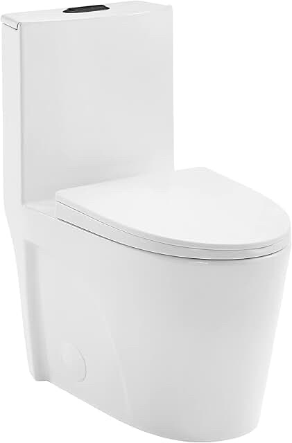One-Piece Elongated Dual Flush Toilet