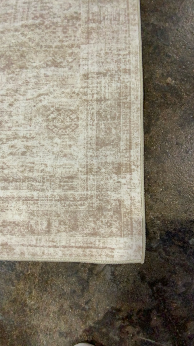 Traditional Distressed Area Rug Runner, Beige and Ivory 18f*3f