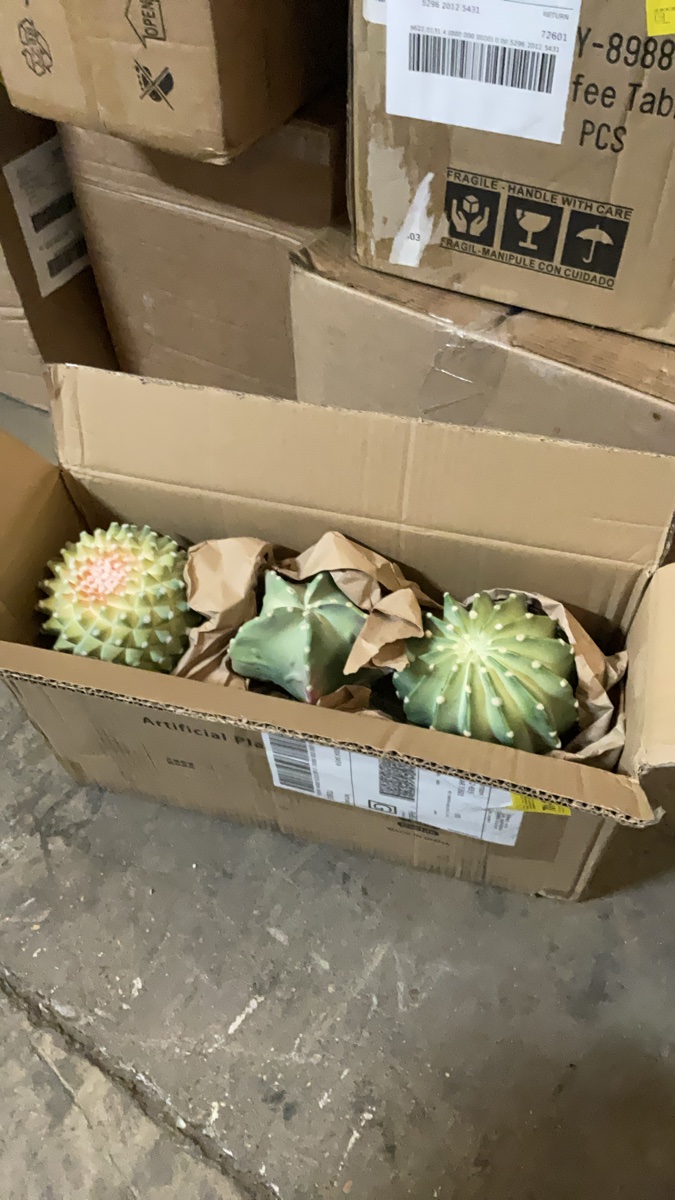 Artificial Decorative Succulent and Cactus Set