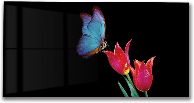 LMSDYSHU Butterfly Tempered Glass Backsplash for Kitchen Stove 30x14 inch