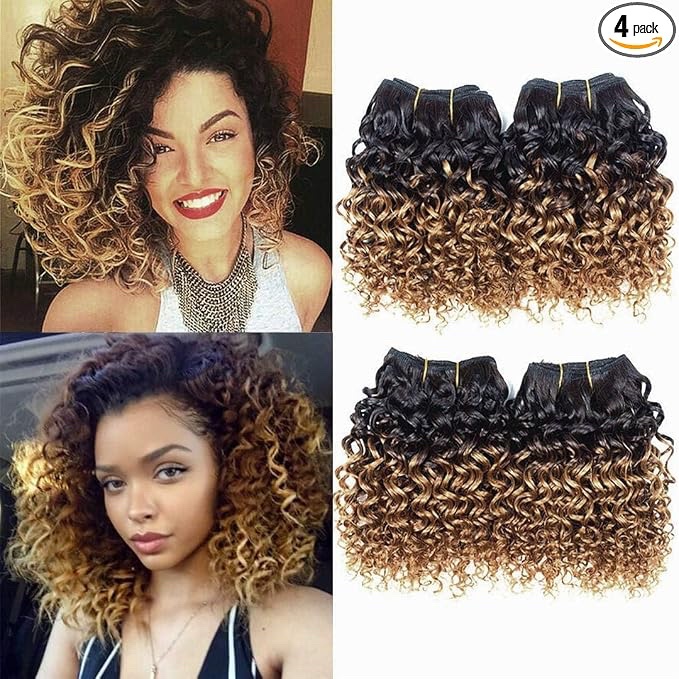 Xcheris Hair Ombre Curly Hair Extensions
