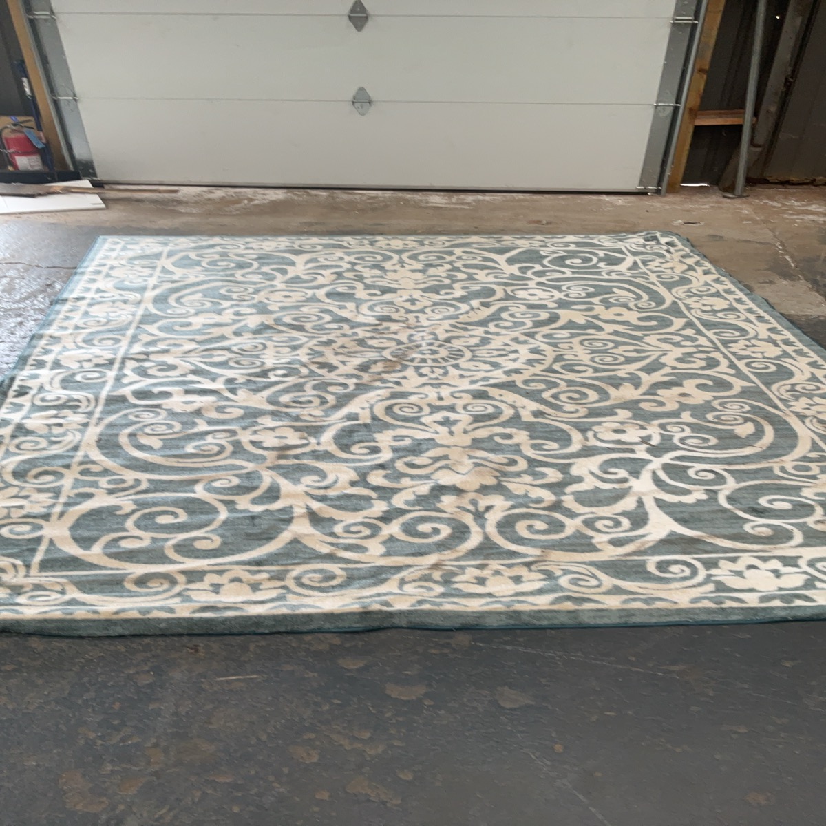 6x10ft Area Rug