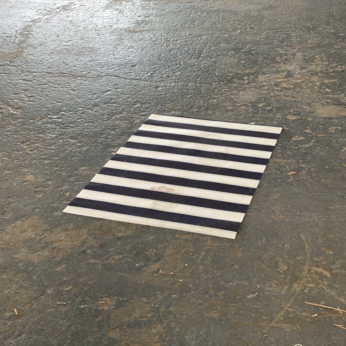 1’9x2’9 Area Rug
