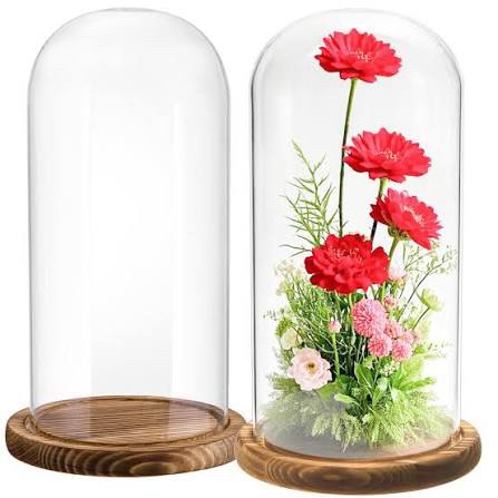 Mezchi 2 Pack Glass Cloche Display Domes, 9.8x4.7 Inch