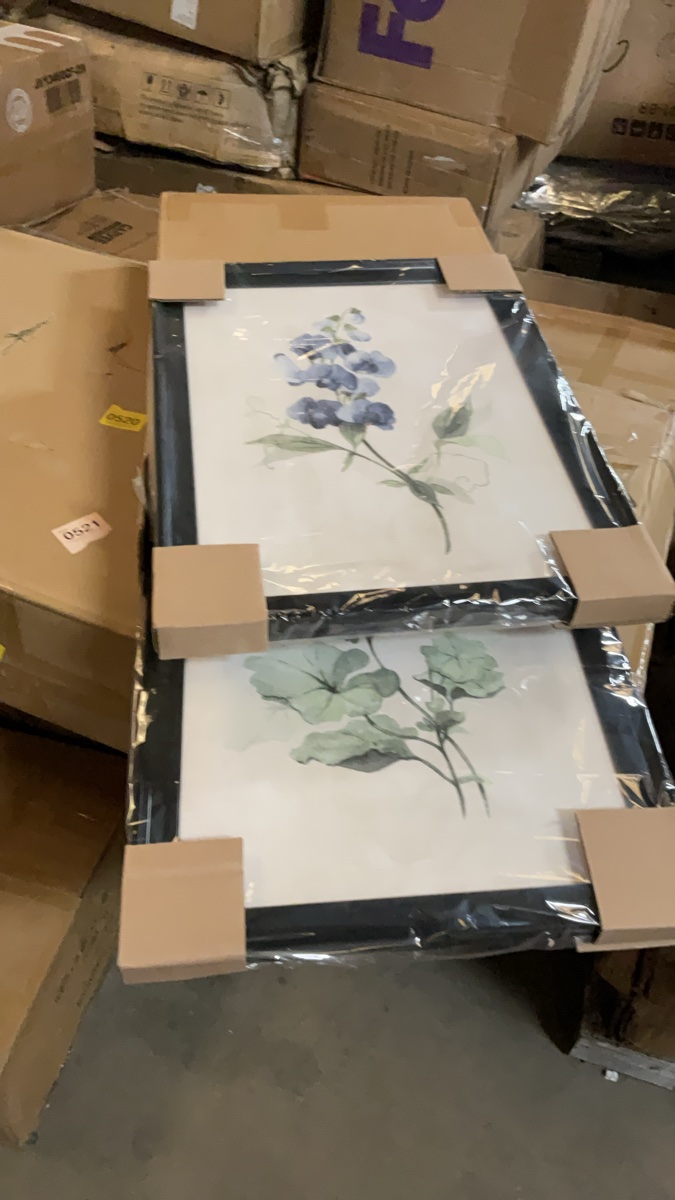 Set of Two Framed Botanical Wall Art Prints