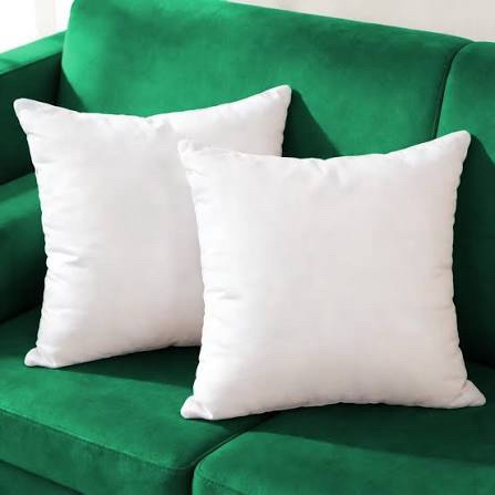 Winighting Set of 2 Ultra Pillow Inserts for Decorative Pillow Covers