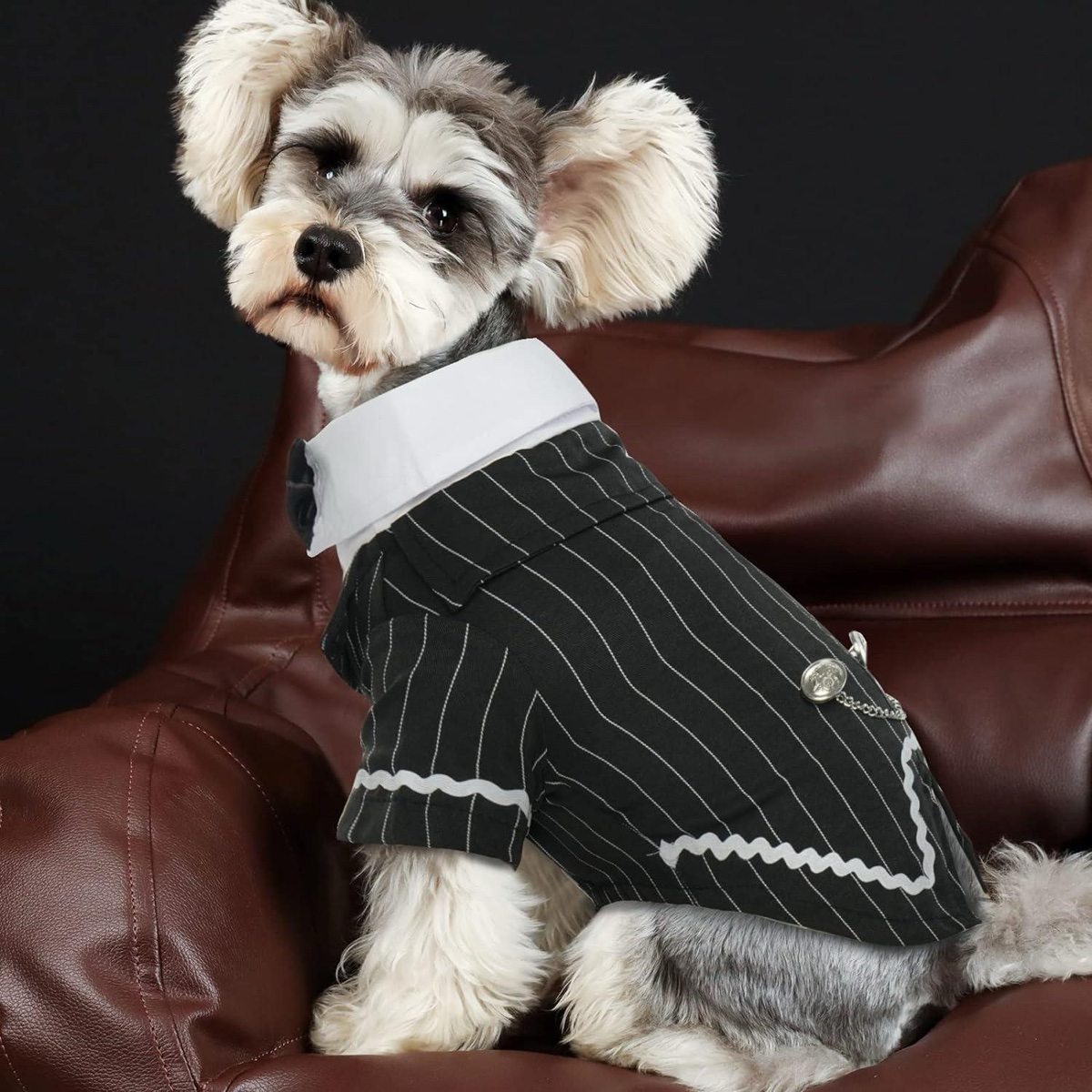 Dentrun Black and White Striped Dog Dress, Size Small