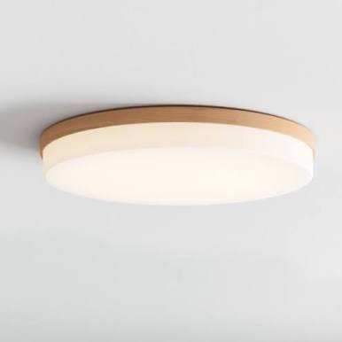 Flush Mount Ceiling Light Fixture