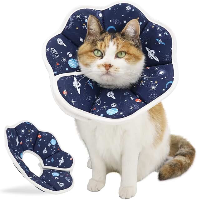 Space-Themed Pet Recovery Cone / Elizabethan Collar
