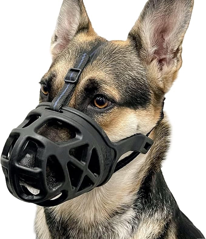 Barkless Dog Muzzle or Training Equipment