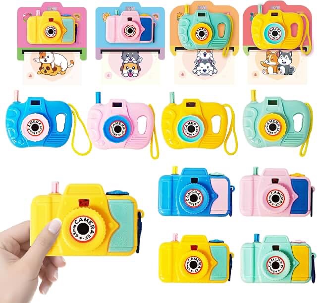 Spring Flower Happy Valentine's Day Cards with Cute Cameras - 24 Pack