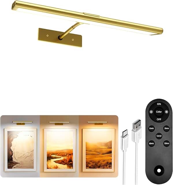 EZVALO LED Picture Light Rechargeable