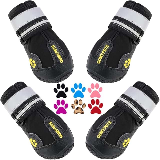 Performance Dog Shoes, Size 6