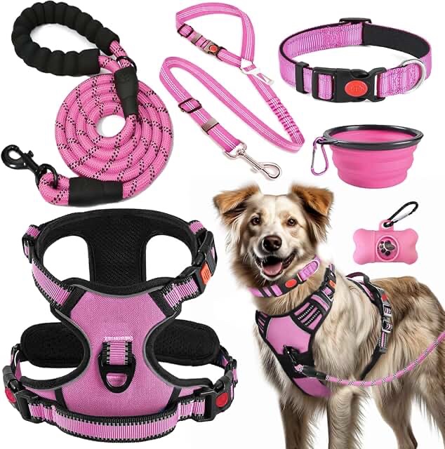 Size SMALLDog Harness, Leash, and Collapsible Bowl Set - Pink/Black