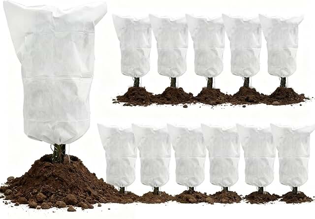 Generic 12 Pack Plant Antifreeze Protection Covers 32 x 48 in