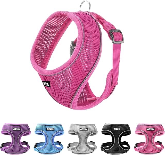 Love Has Support Dog/Pet Mesh Harness - Pink small