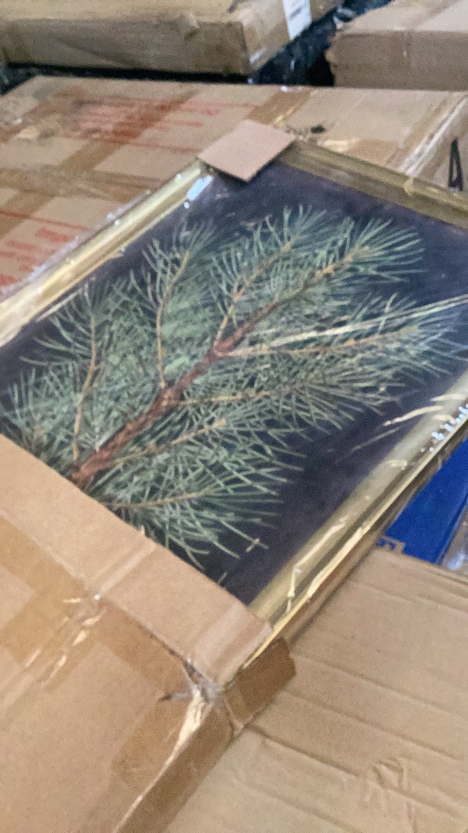 Framed Pine Branch Botanical Wall Art
