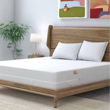 Hospitology Sleep Defense System California King Mattress Encasement