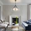 Light Fixture chandelier 48447