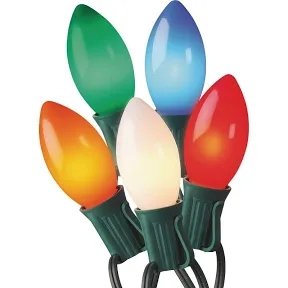 Green  Brightown 20 Count C9 Christmas String Lights with Stakes