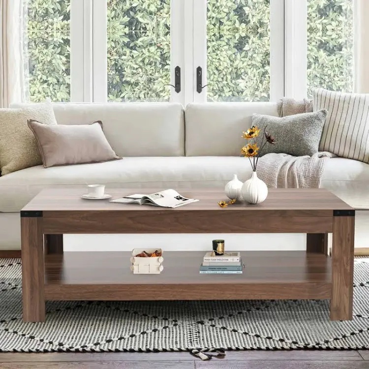 Damika Rectangular Coffee Table with 2-Tier Storage