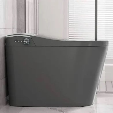 Smart Toilet Model SM8008H-2