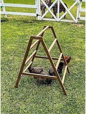 Zylina Play-N-Roost Roosting Ladder