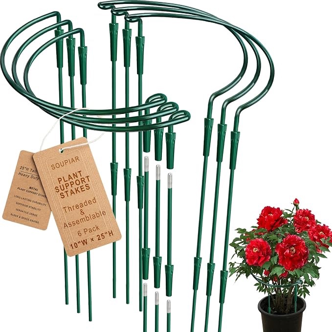 6 Pack Threaded Lock Metal Plant Support Stakes - 25" H Tall Peony Cage, Reusable Detachable Garden Ring for Hydrangea/Rose Bush/Potted Flowers, Indoor Outdoor Heavy Duty (10" W) Touch the image to zoom in                  2+    6 Pack Threaded Lock Metal Plant Support Stakes - 25" H Tall