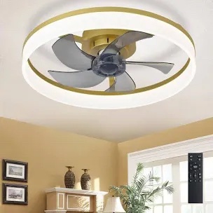 Hoenfly 20-inch Smart Gold Small Ceiling Fan