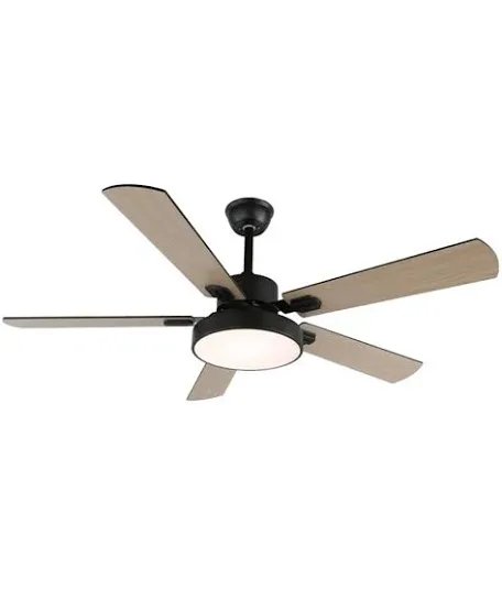 Ceiling Fan with LED Light