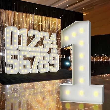Holitex 4FT Marquee Number 31 Light Up Sign Kit