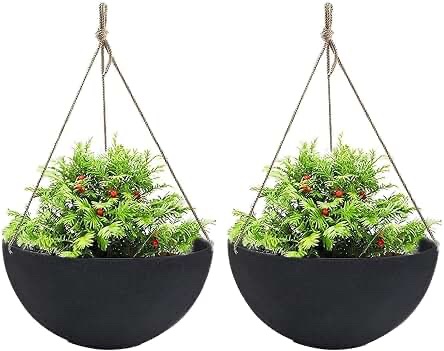 La Jolie Muse Set of 2 Plastic Planter Bowls