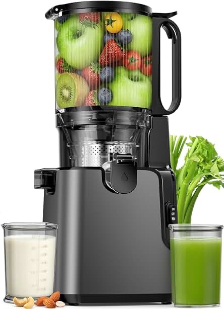 Masticating Juicer Black