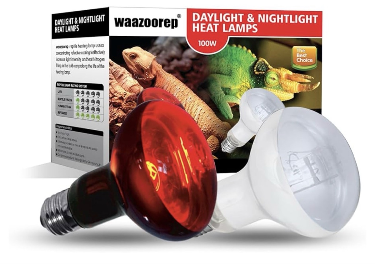 Repticircle R80 Heating Bulb 100W