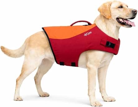 Love Longlong Dog Life Jacket, Sport Style, Orange-Red, Size Large