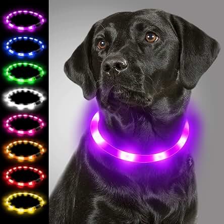 Joytale LED Dog Collar - Rechargeable Multicolor