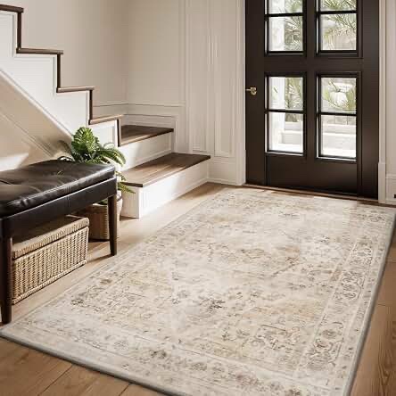 AMOAMI Area Rug 3x5, Washable Soft Beige Rug