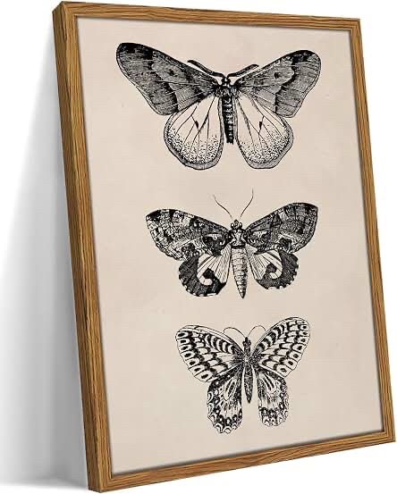 Vintage Style Butterfly Specimen Framed Wall Art