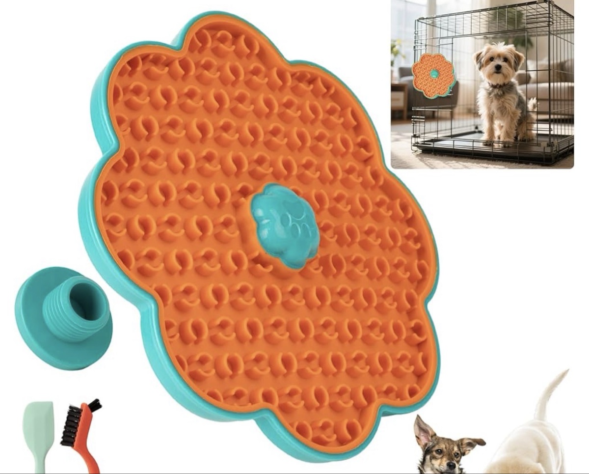 All For Paws Calming Pals Spin'N'Lick Lick Mat item is not identical to stock photo.