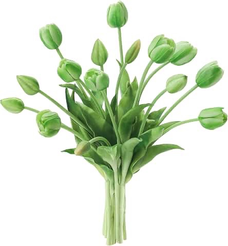 LINSIE 15 Pcs Green Artificial Flowers Tulips Real Touch Latex Plastic Soft Faux Bouquets