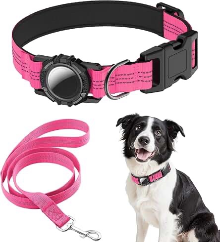 HDDTTZ AirTag Dog Collar and Leash Set - Small, Pink